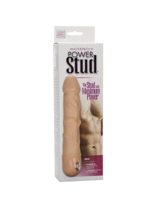 CALEXOTICS - VIBRATEUR POUR LA PEAU POWER STUD ROD