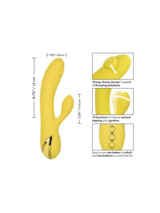 CALEXOTICS - SAN DIEGO SÉDUCTION