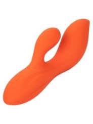CALEXOTICS - STELLA DUAL TEASER ORANGE