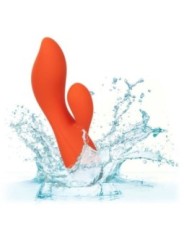 CALEXOTICS - STELLA DUAL TEASER ORANGE