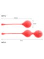 INTENSE - PACK BALLES KEGEL KENDALL ROUGE