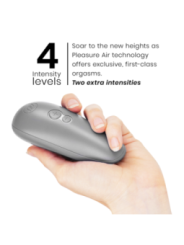 WOMANIZER - STIMULATEUR CLITORAL STARLET 3 GRIS