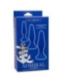 CALEXOTICS - ADMIRAL KIT 3 PLUG ANAL BLEU