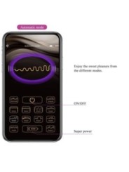 PRETTY LOVE - TÉLÉCOMMANDE JAYLEEN VIBRATOR APP VIOLET