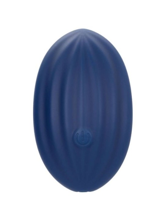 CALEXOTICS - CASHMERE VELOURS CURVE BLEU