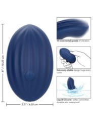 CALEXOTICS - CASHMERE VELOURS CURVE BLEU