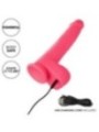 CALEXOTICS - STUDS VIBRATEUR RÉALISTE 10 VIBRATIONS ROSE
