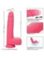 CALEXOTICS - STUDS VIBRATEUR RÉALISTE 10 VIBRATIONS ROSE