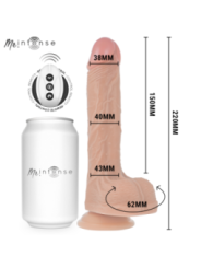 MR INTENSE - BALDWIN RÉALISTE MULTIFONCTIONNEL AVEC VIBRATION, TÉLÉCOMMANDE HAUT/BAS, 22 CM - OU - 4 CM