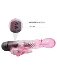 BAILE - VOUS OFFRIR UNE SORTE DE VIBRATEUR AMANT AVEC RABBIT ROSE 10 MODES