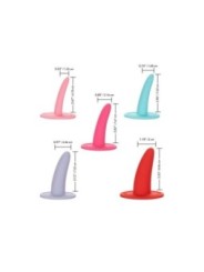 CALEXOTICS - ENSEMBLE DE DILATATEURS PORTABLES 5PC