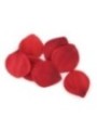 EXTASE SENSUAL - COFFRE TENTATION ROUGE