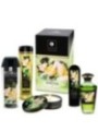 SHUNGA - KIT DE JARDIN EDO COLLECTION BIO