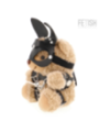 FETISH SUBMISSIVE - MISHKA TEDDY BEAR MODÈLE BDSM 5
