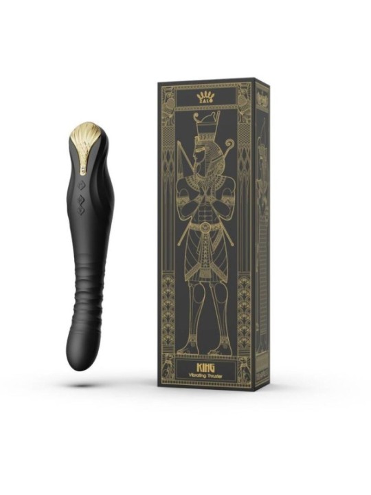 ZALO - PROPULSEUR KING NOIR
