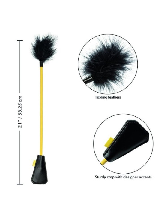 CALEXOTICS - BOUNDLESS RÉCOLTE DE PLUMES