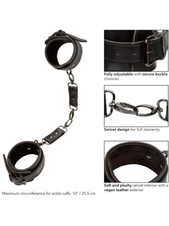 CALEXOTICS - EUPHORIA MANCHETTES DE CHEVILLE
