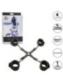 CALEXOTICS - NOCTURNAL CONNECTEUR TIE HOG CUERO AJUSTABLE NOIR