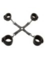 CALEXOTICS - NOCTURNAL CONNECTEUR TIE HOG CUERO AJUSTABLE NOIR