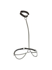 CALEXOTICS - EUPHORIA COLLIER ET LAISSE CHAINE