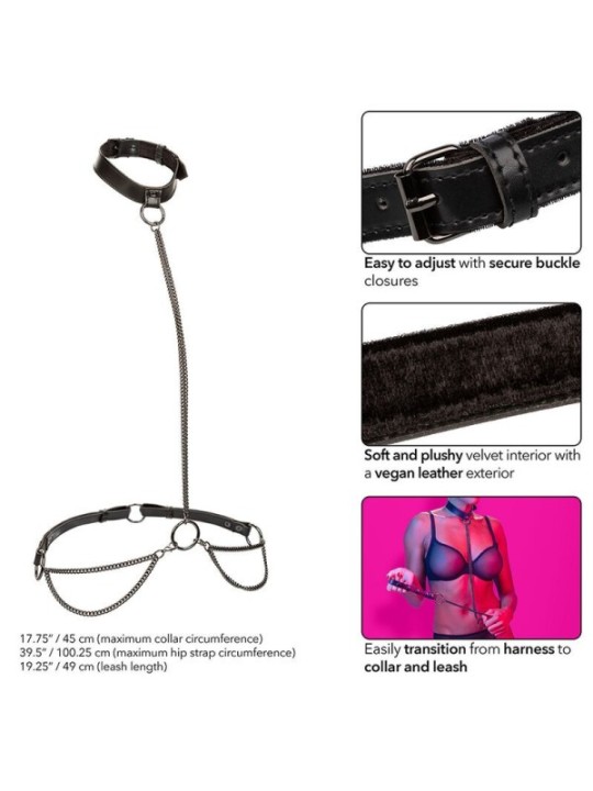CALEXOTICS - EUPHORIA COLLIER ET LAISSE CHAINE