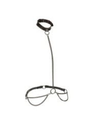CALEXOTICS - EUPHORIA COLLIER LICOL ET LAISSE GRANDE TAILLE