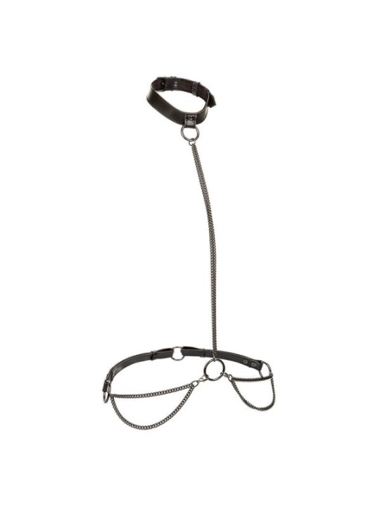 CALEXOTICS - EUPHORIA COLLIER LICOL ET LAISSE GRANDE TAILLE