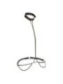 CALEXOTICS - EUPHORIA COLLIER LICOL ET LAISSE GRANDE TAILLE