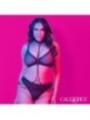 CALEXOTICS - EUPHORIA COLLIER LICOL ET LAISSE GRANDE TAILLE