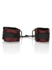 CALEXOTICS - SCANDAL ENSEMBLES DE BRACELETS UNIVERSELS