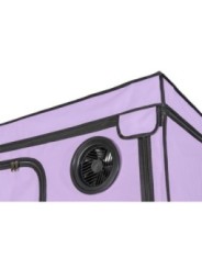 SECRET DOME - KINK CLUB CABINE SCANDALE PURPLE