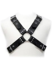 HARNAIS EN CUIR - BOUCLES