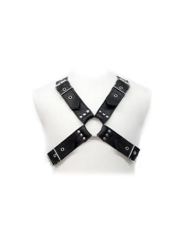 HARNAIS EN CUIR - BOUCLES