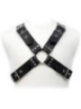 HARNAIS EN CUIR - BOUCLES