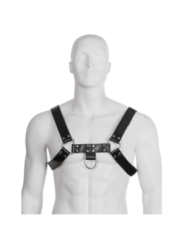 LEATHER BODY - HARNAIS  CHAÎNE III