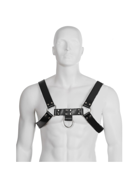 LEATHER BODY - HARNAIS  CHAÎNE III