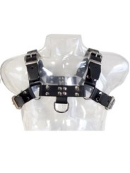 LEATHER BODY - HARNAIS  CHAÎNE III