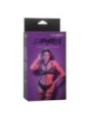CALEXOTICS - EUPHORIA HARNAIS MULTICHAÎNE PREMIUM