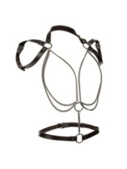 CALEXOTICS - EUPHORIA HARNAIS LICOL MULTICHAÎNES PREMIUM
