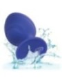 CALEXOTICS - BOUCHON CHEEKY VIOLET