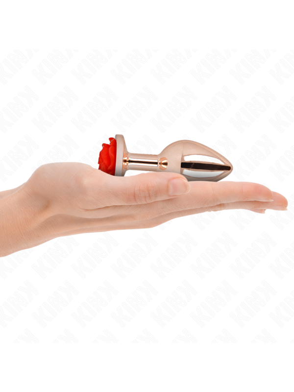 KINK - PLUG ANAL OR ROSE AVEC ROSE ROUGE M