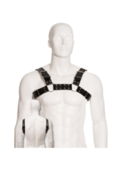 LEATHER BODY - HARNAIS BULL DOG NOIR