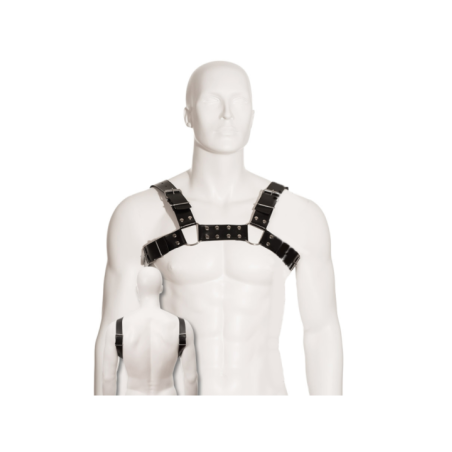 LEATHER BODY - HARNAIS BULL DOG NOIR
