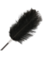 DARKNESS - FOUET PLUME DAMOUR NOIR 56 CM