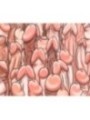 DIABLO PICANTE - TAPIS DE SOURIS COULEUR AVEC DESSIN DE PÉNIS