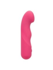 CALEXOTICS - PIXIES CURVY ROSE